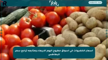 أسعار الخضروات في أسواق مطروح اليوم الأربعاء ومتابعة تراجع سعر البطاطس